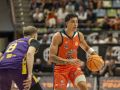 Semifinal Final Four Leyma Coruña-Palencia