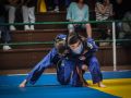 Los tatamis ocuparon el pabellón del colegio Liceo