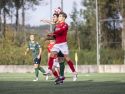 Un duelo aéreo durante el Sofán-San Tirso