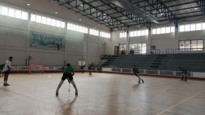 El ideal gallego