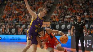 leyma vs palencia