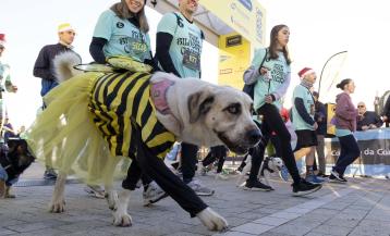 San Silvestre 2024