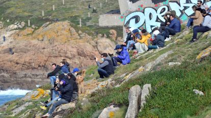 Coruña Big Waves @Pedro Puig (2)