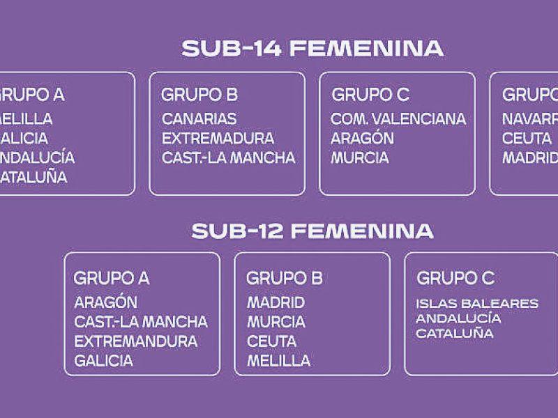 La composiciu00f3n de los grupos de las dos categoru00edas Futgal