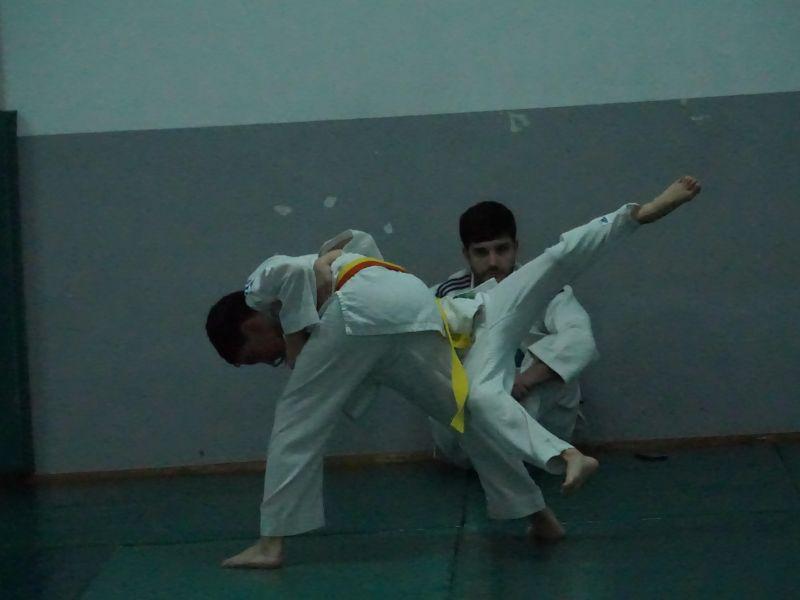 Dxtescolar (2)