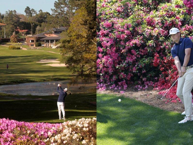 AZALEAS AUGUSTA Y A ZAPATEIRA