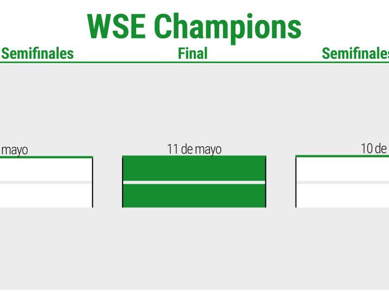 WSE Champions