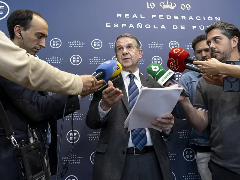 Rfef 13 1
