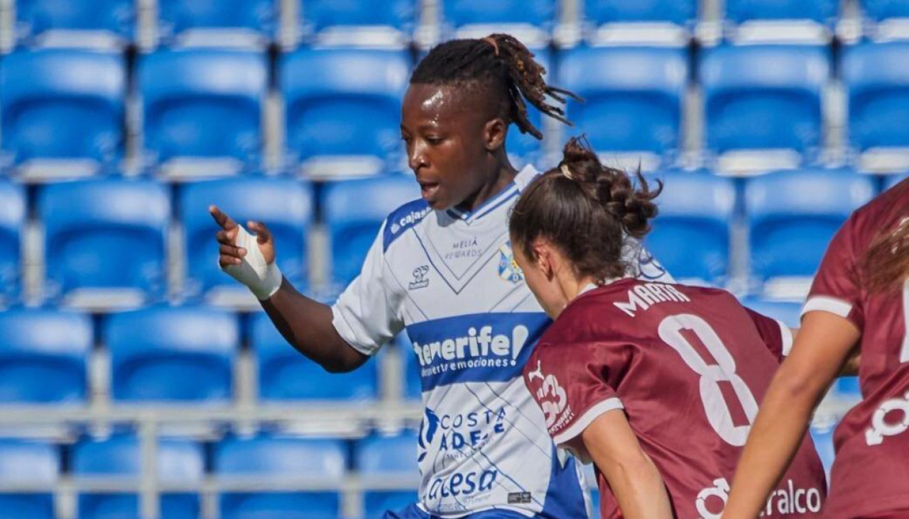 Amani, baja en el Costa Adeje Tenerife