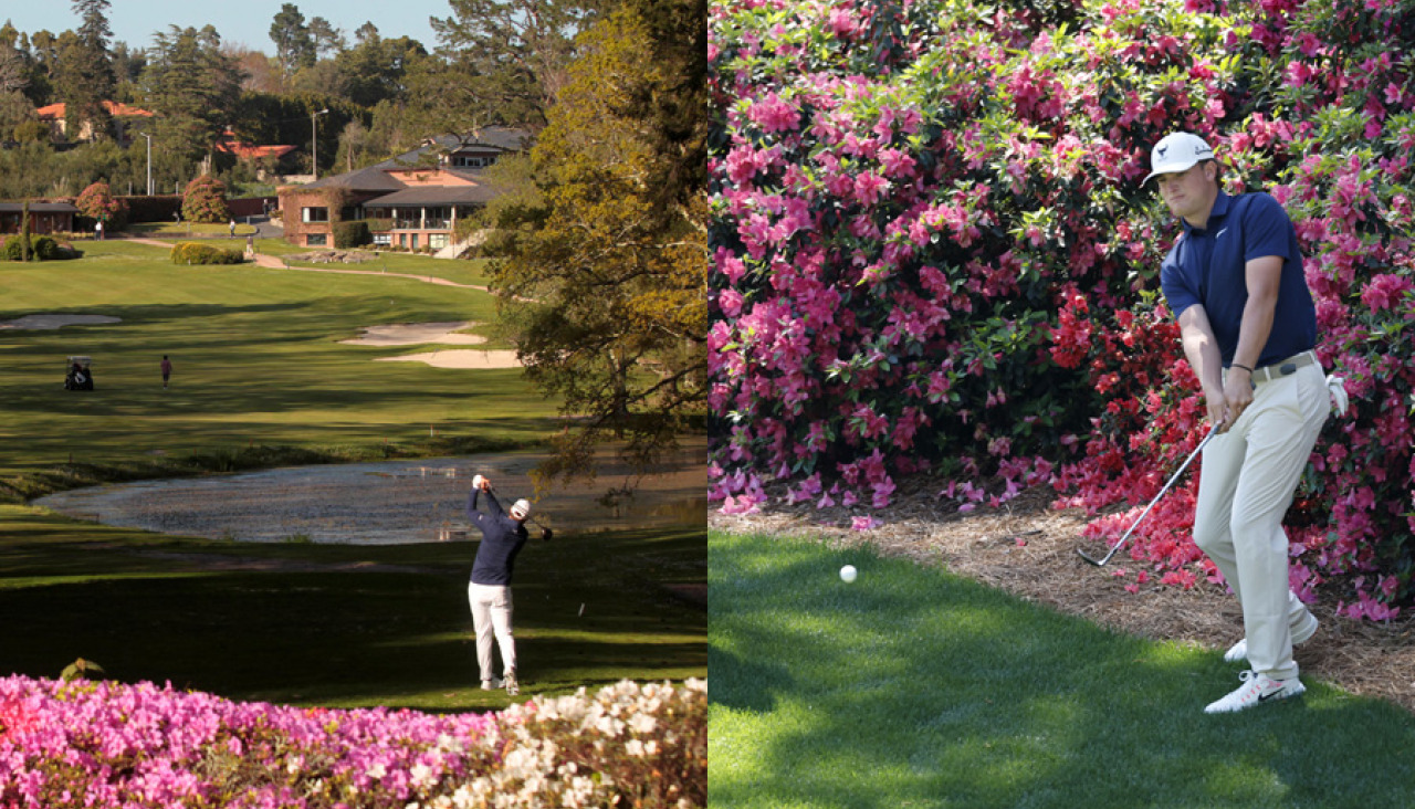 AZALEAS AUGUSTA Y A ZAPATEIRA