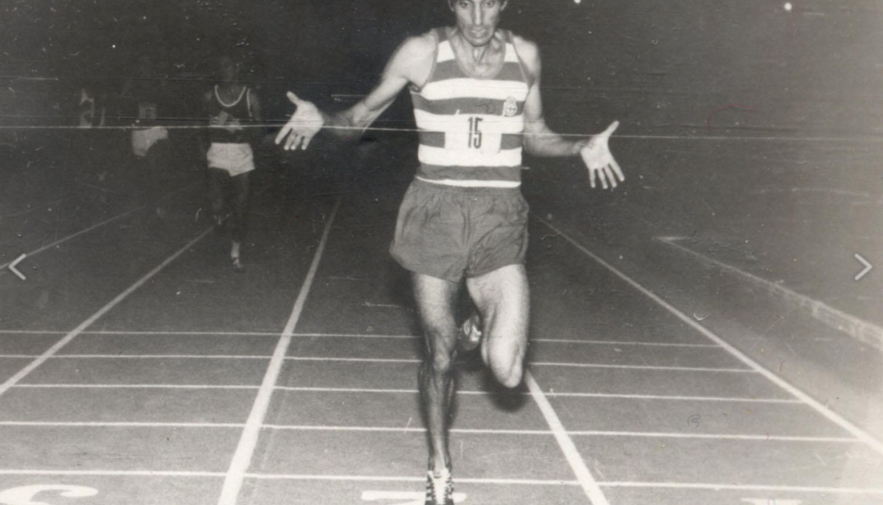 1972 Gayoso oli mpico 14115711