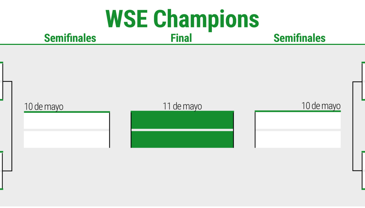WSE Champions