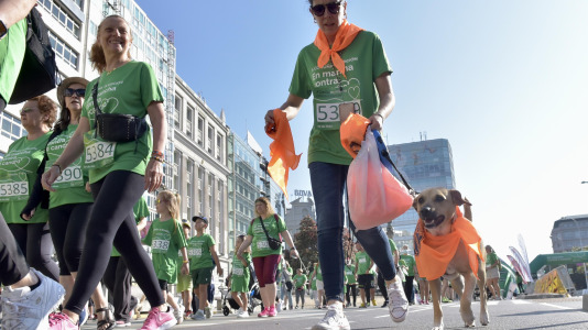 Carrera contra el Cancer @Javier Albores (54)