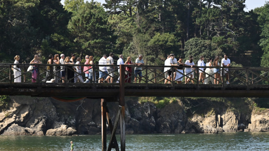 Las mejores imágenes de una de las pruebas de natación tradicionales del verano